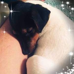 Meet your Posher, Frank